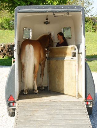 Læssetræning kræver tillid og respekt så hesten ikke er bange for traileren og vil gå ind i traileren med dig uden at være stædig.